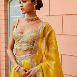 Honey Gold Hand Embroidered Placement Motif Lehenga