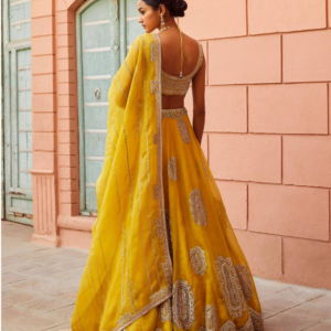 Honey Gold Hand Embroidered Placement Motif Lehenga